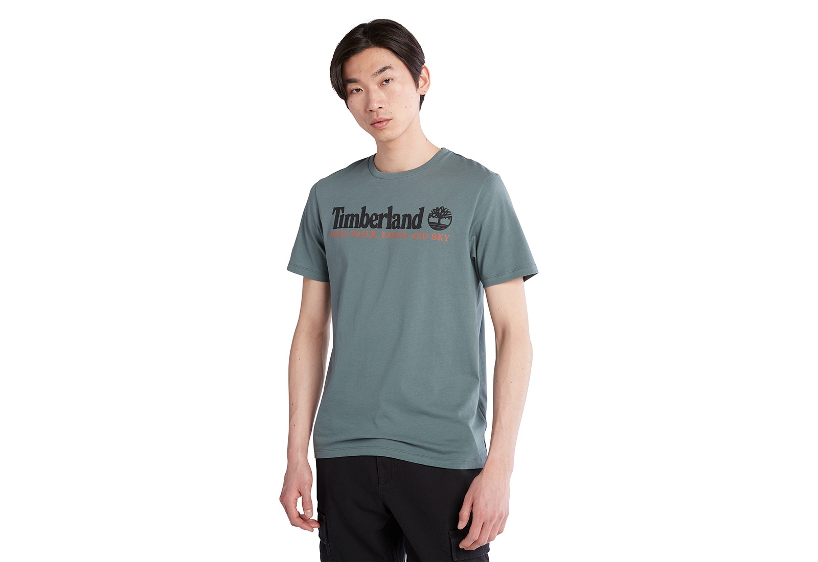 Timberland Oblečení Wwes Front Tee (reg)