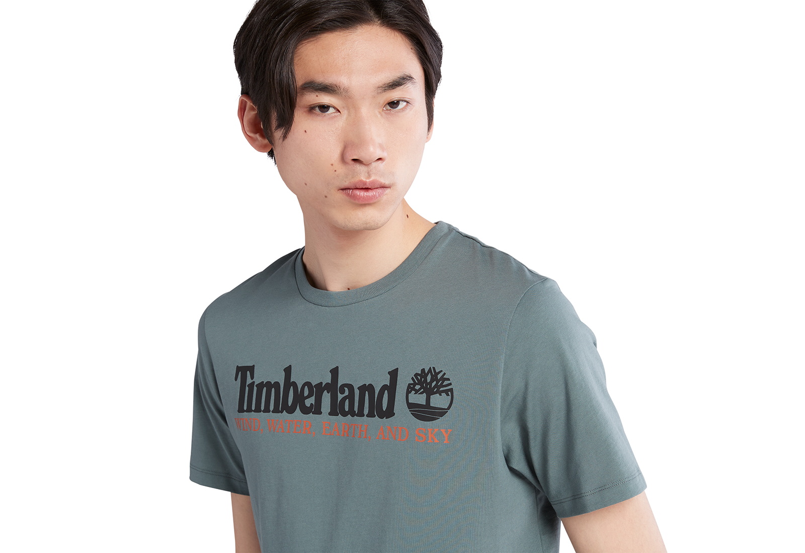 Timberland Oblečení Wwes Front Tee (reg)