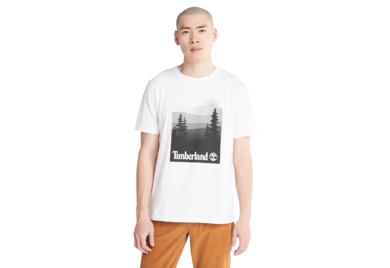 Timberland Oblečení Graphic Print Tee