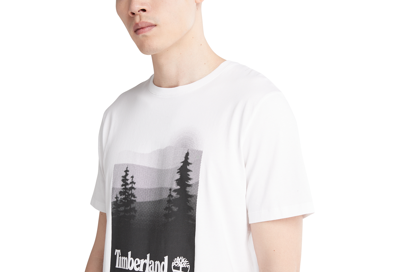 Timberland Oblečení Graphic Print Tee