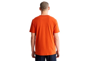 Timberland Oblečení Ss Front Grphic Tee