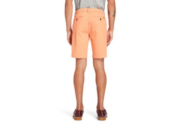 Timberland Oblečení Squam Lake Stretch