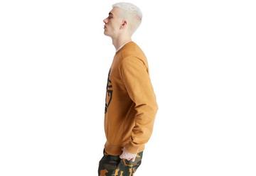Timberland Oblečení Core Logo Crew
