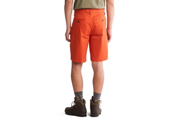 Timberland Oblečení Squam Lake Stretch